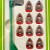 Subbuteo La Leggenda Flamengo 1981